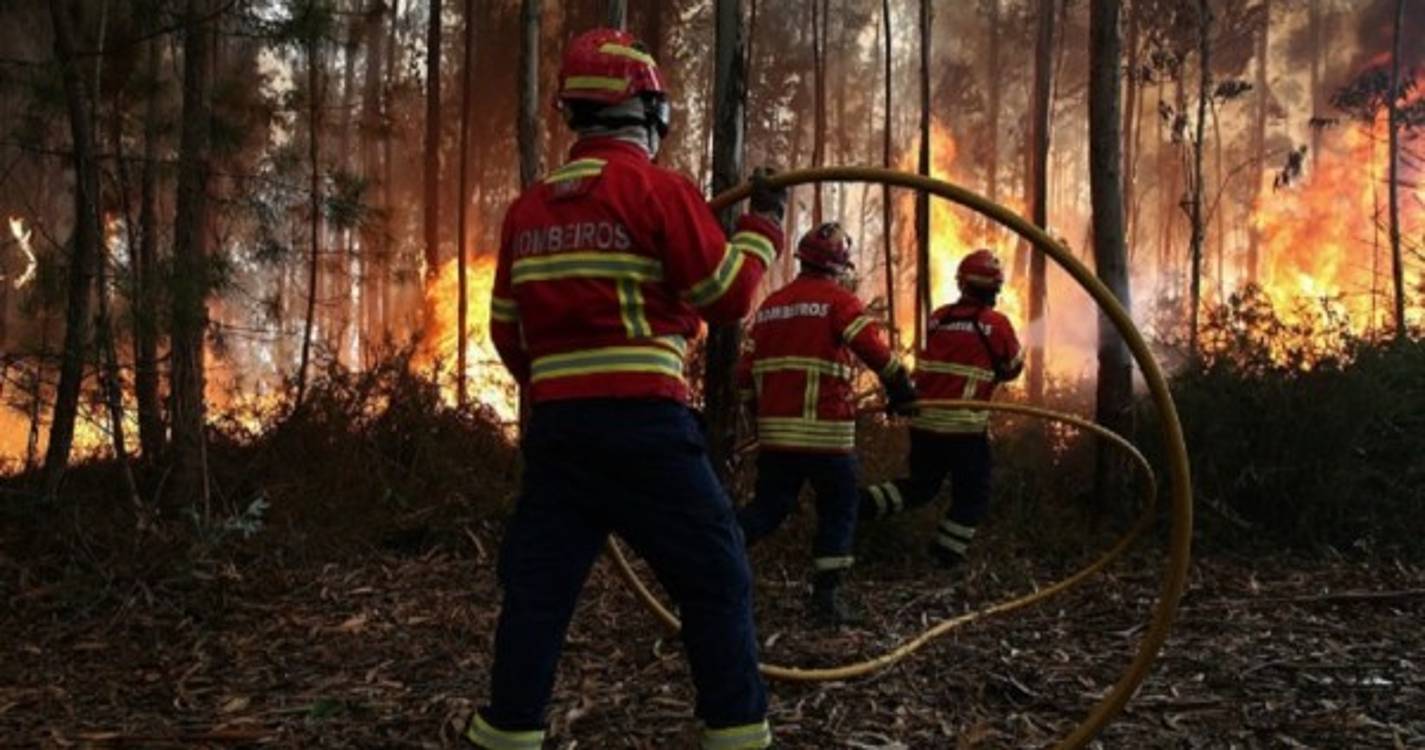 Incêndios: Fogo em Odemira com situação "crítica, difícil e complexa"