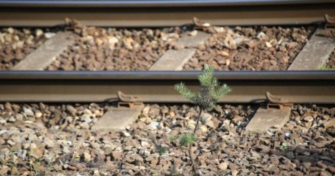 Sindicato diz que incidente com comboio poderia ter acontecido mesmo sem greve
