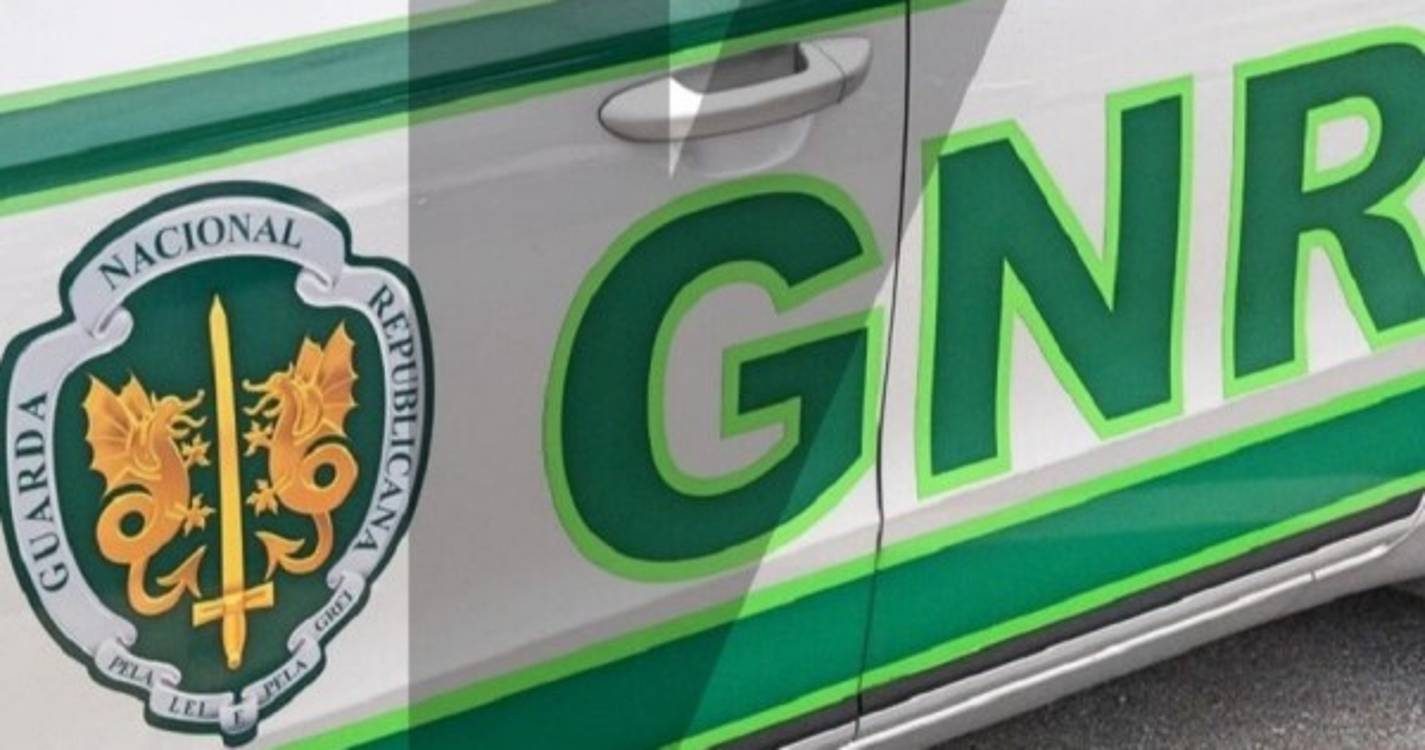 GNR sensibiliza emigrantes portugueses sobre regras para regularizar armas