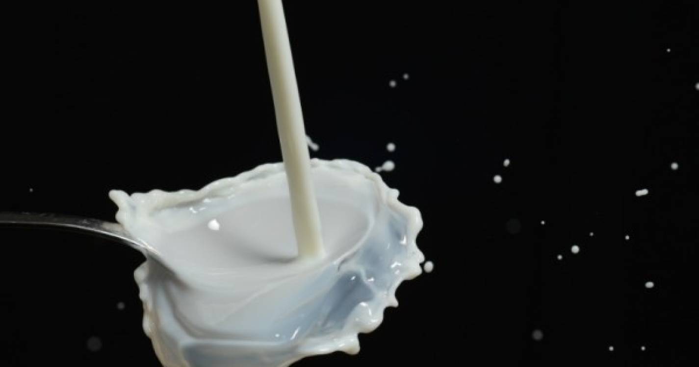 Preço do leite em Portugal 5 cêntimos/litro abaixo da média da UE em 2021
