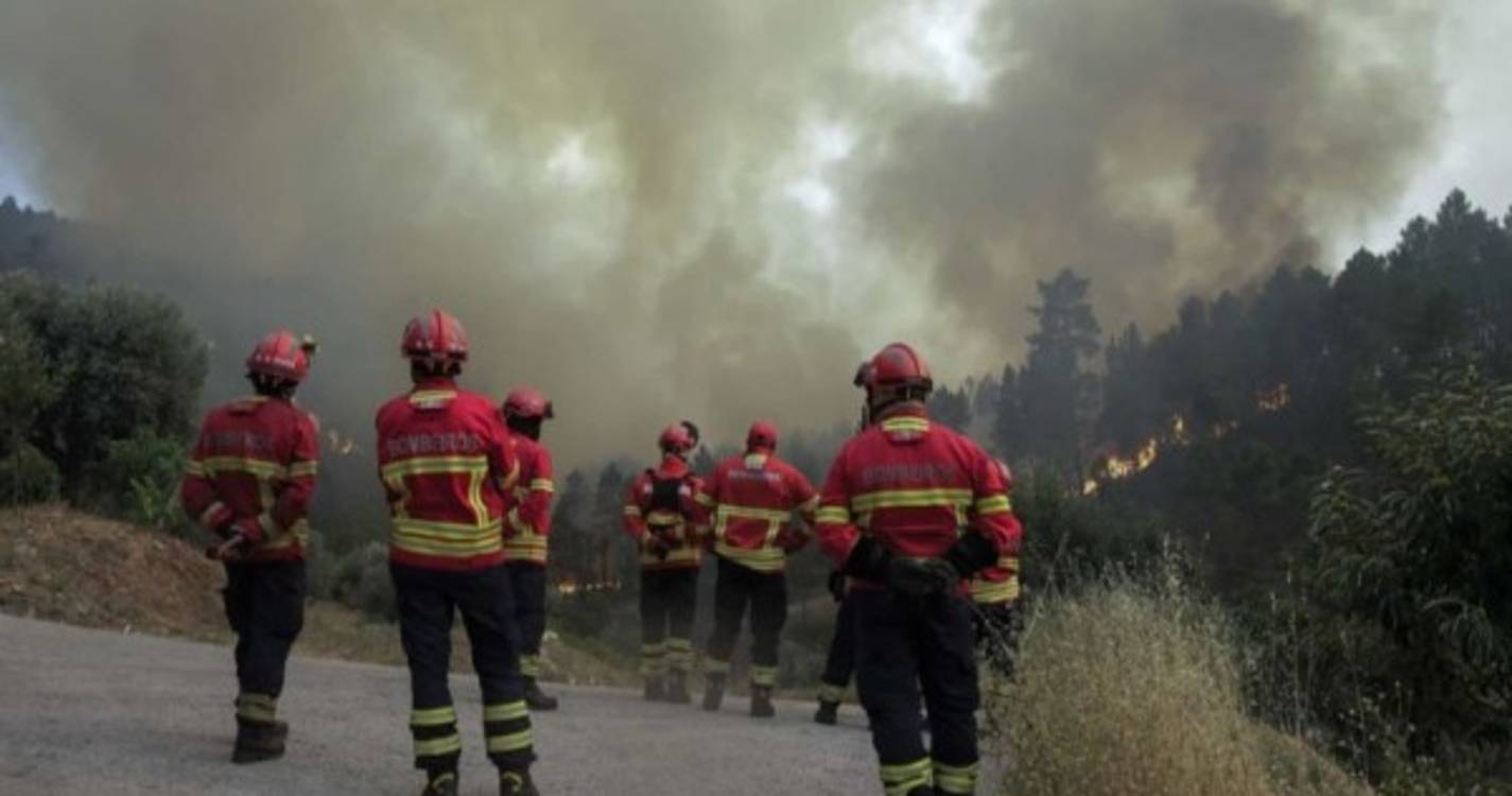 Fogo em Oliveira de Azeméis já conta para 219 operacionais