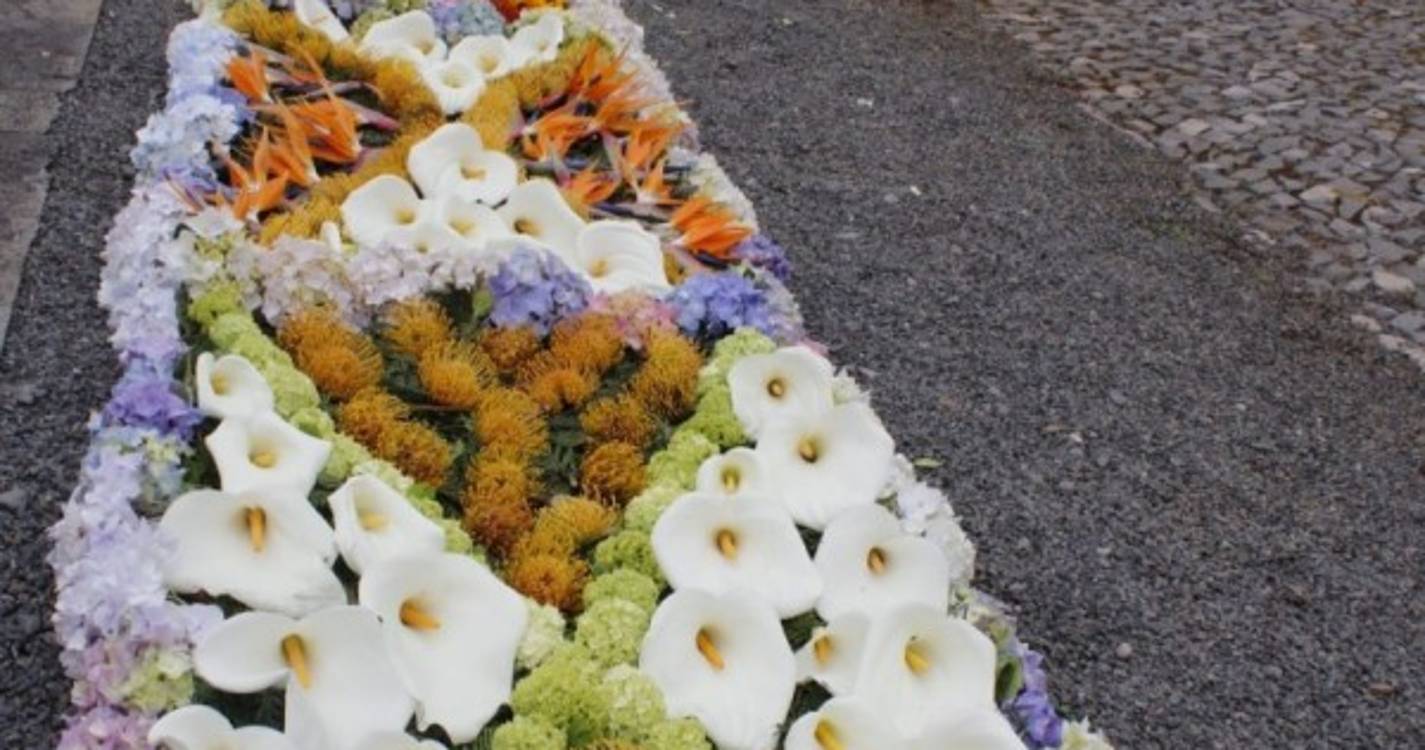 Parque Temático associa-se à Festa da Flor