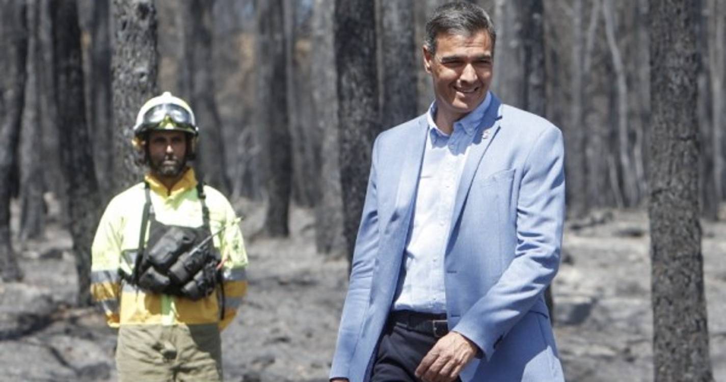 Espanha declara zonas de catástrofe em 15 regiões autónomas afetadas por incêndios