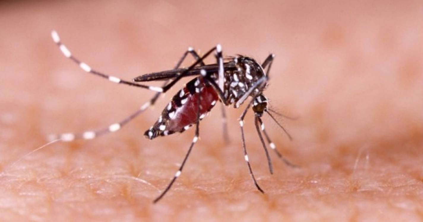 Peru lança alerta epidemiológico por aumento de casos de dengue