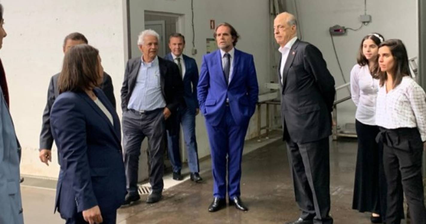 Governo Regional assegura apoio para o aumento da produção regional do setor agropecuário