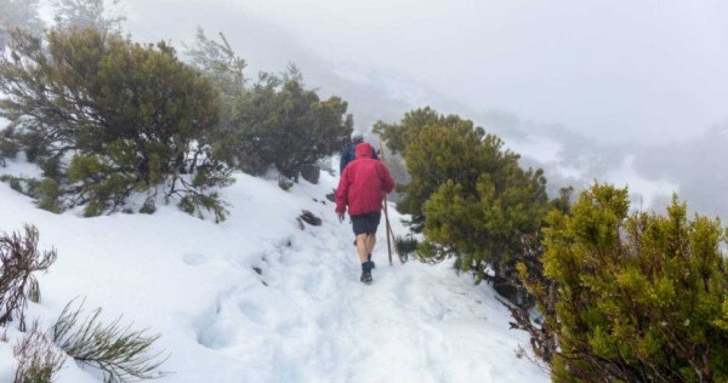 Tempo: IPMA mantém que há condições para queda de neve