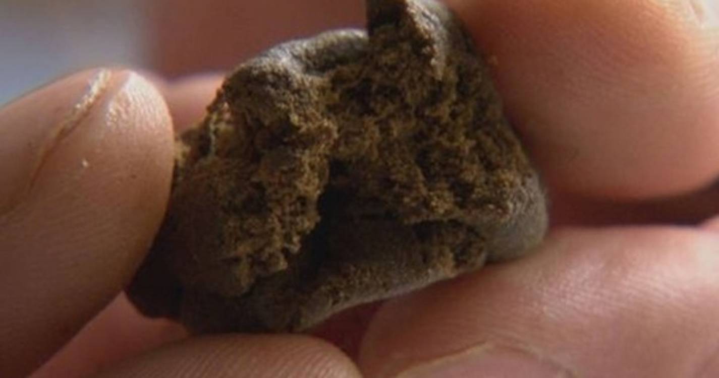 Desmantelada em Espanha rede que introduzia grandes quantidades de haxixe em França e Portugal