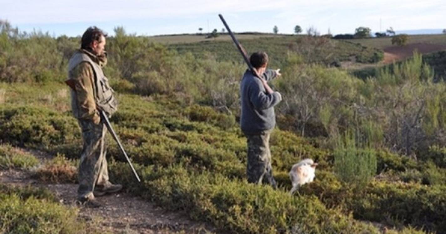 Época de caça abre a 1 de outubro na Madeira e Porto Santo