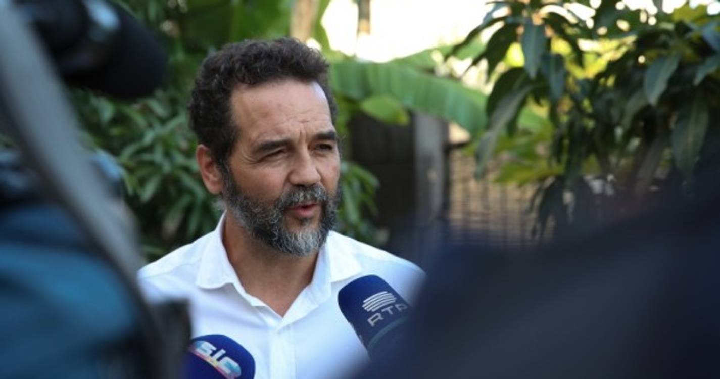 Eleições 2023: Porta-voz do PAN Madeira admite demissão