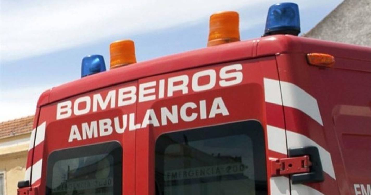 Queda de árvore mata homem em Guimarães