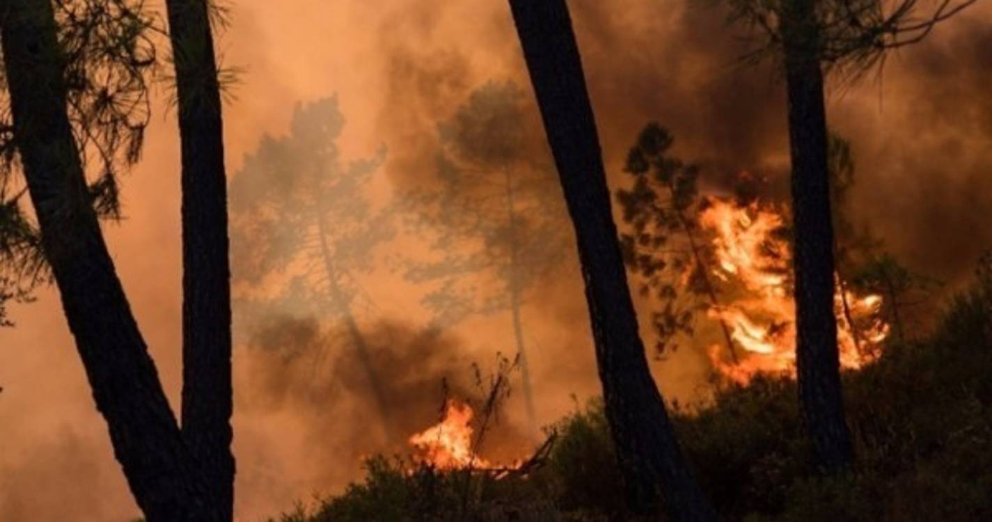 Incêndios: Vinte e cinco concelhos de cinco distritos em perigo máximo