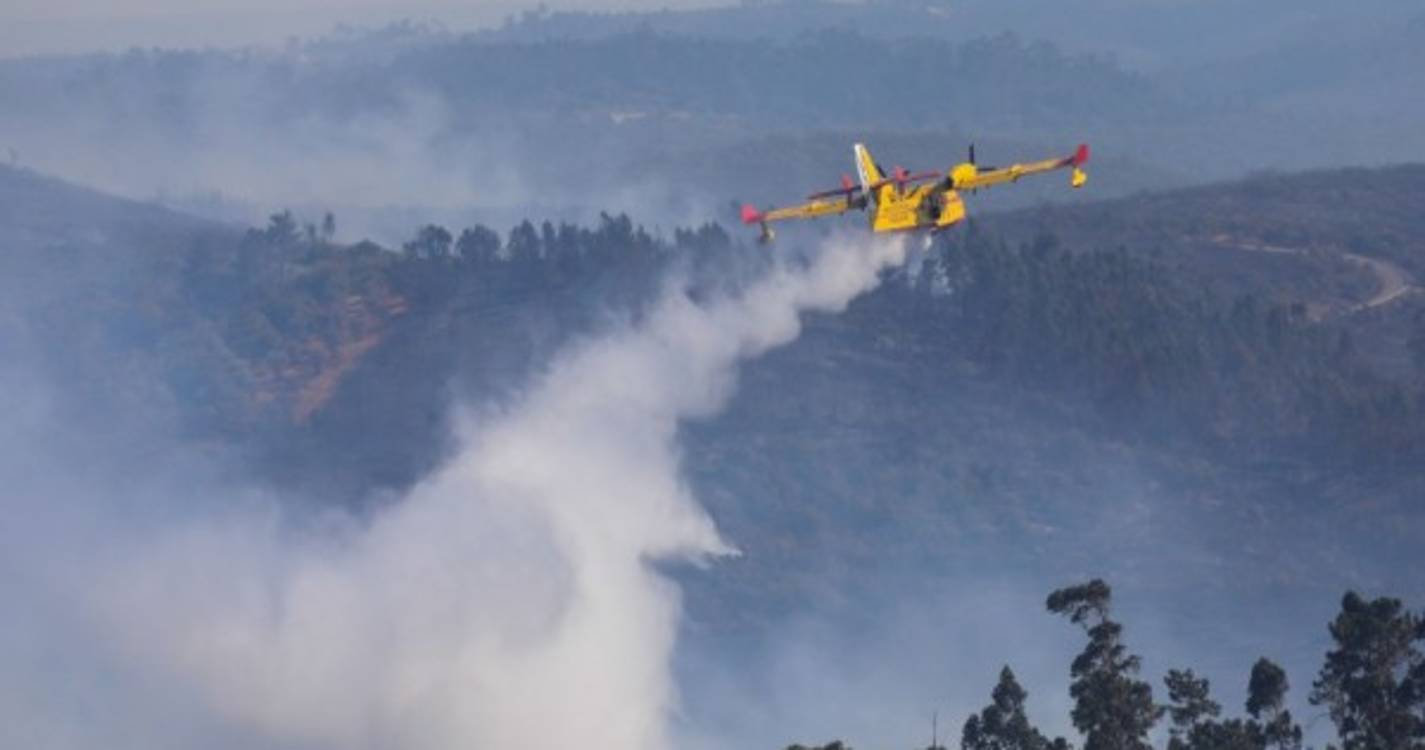 Incêndios: Pombal vive "momentos de aflição"