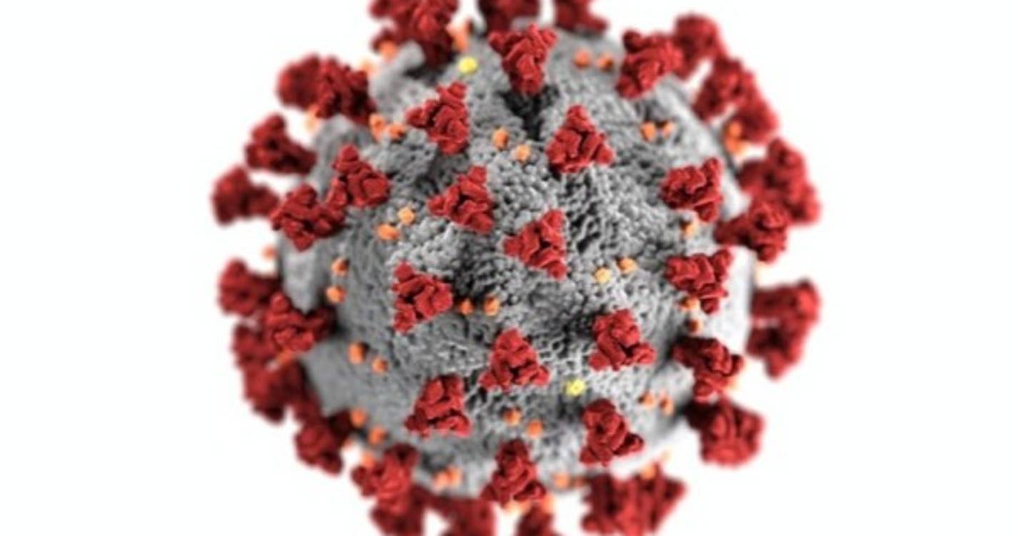 Covid-19: Variante EG.5 representa mais de 70% dos casos na China