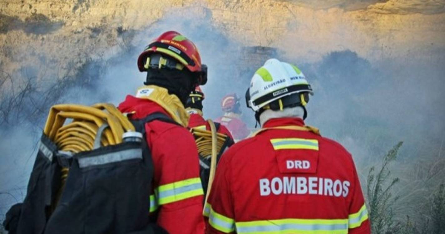 PJ investiga ossadas humanas encontradas em Torres Vedras