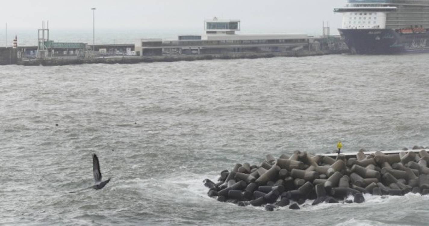 Depressão Ciarán deverá afetar Madeira a partir de quinta-feira