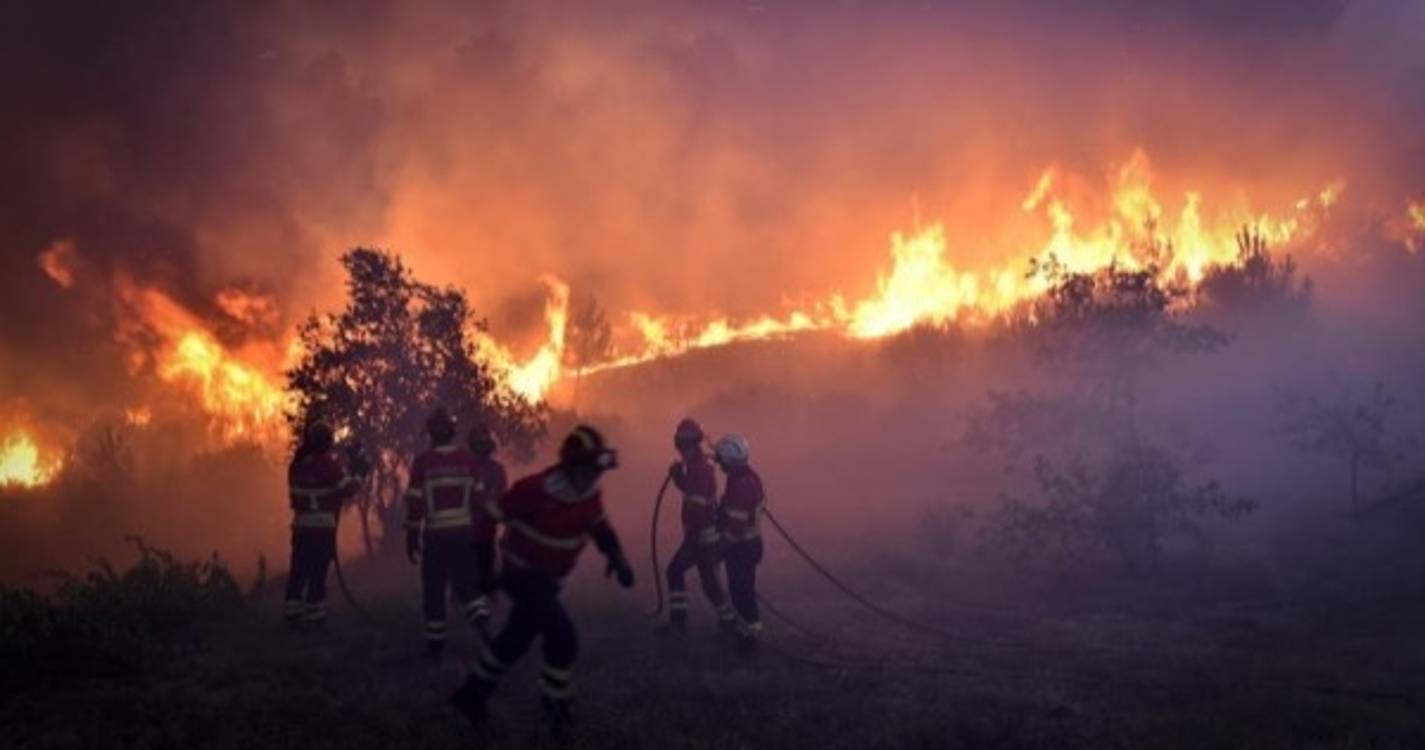 Incêndios: Eurodeputado Álvaro Amaro questiona Bruxelas sobre "situação catastrófica"
