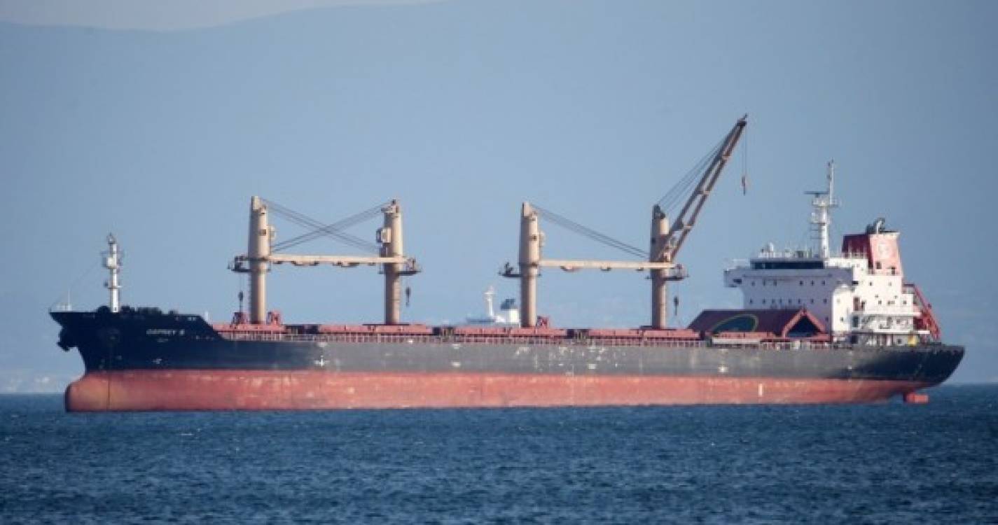 Ucrânia: Turquia, Irão e Coreia do Sul são destinos principais de navios com cereais
