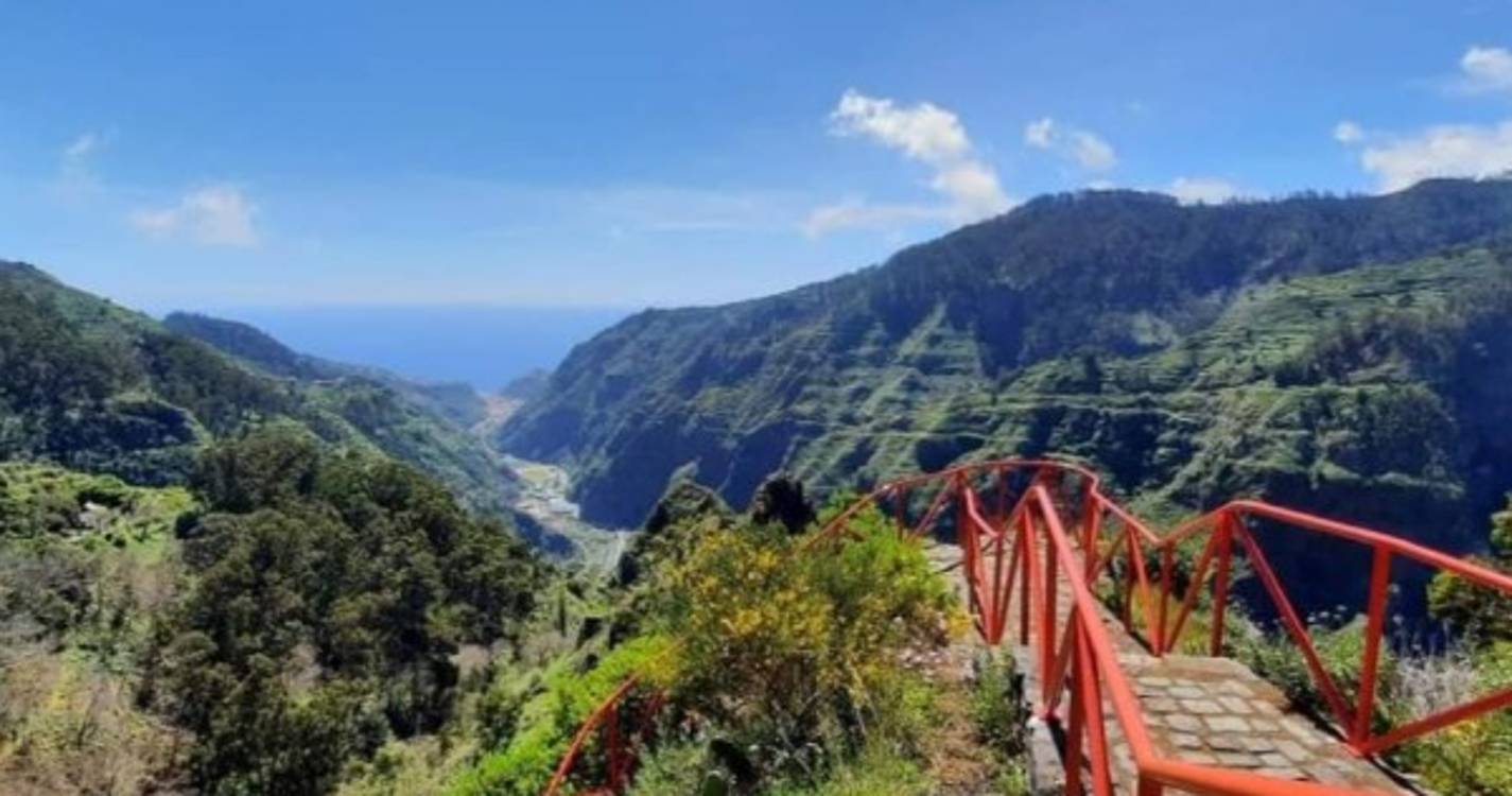 Vereda do Espigão na Ribeira Brava alvo de limpeza