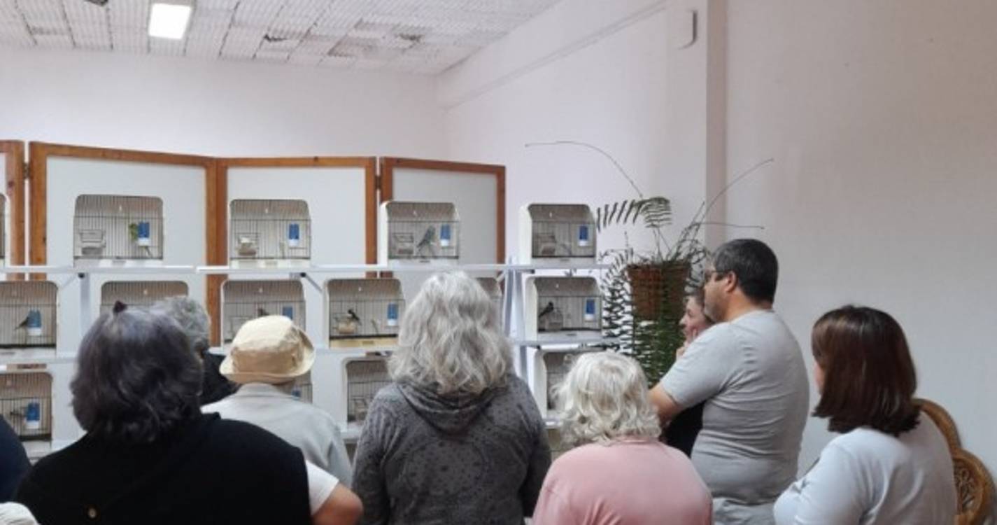 AOM promove VI Exposição Lúdica com 30 aves