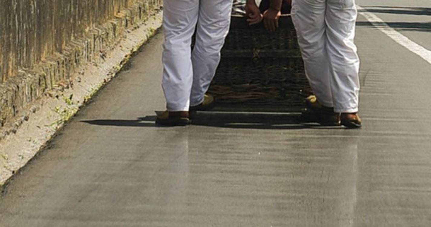 Carro de cesto despista-se no Monte e fere carreiro de 44 anos