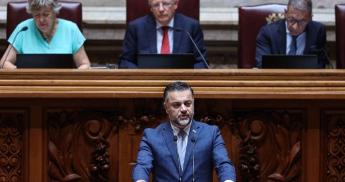 Chega acusa Governo de querer controlar ordens profissionais, executivo diz que reforma &#34;é inadiável&#34;