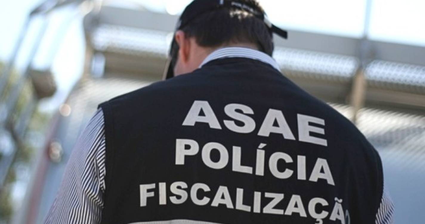 ASAE apreende 15 pinturas falsas dos artistas Cruzeiro Seixas e Malangatana