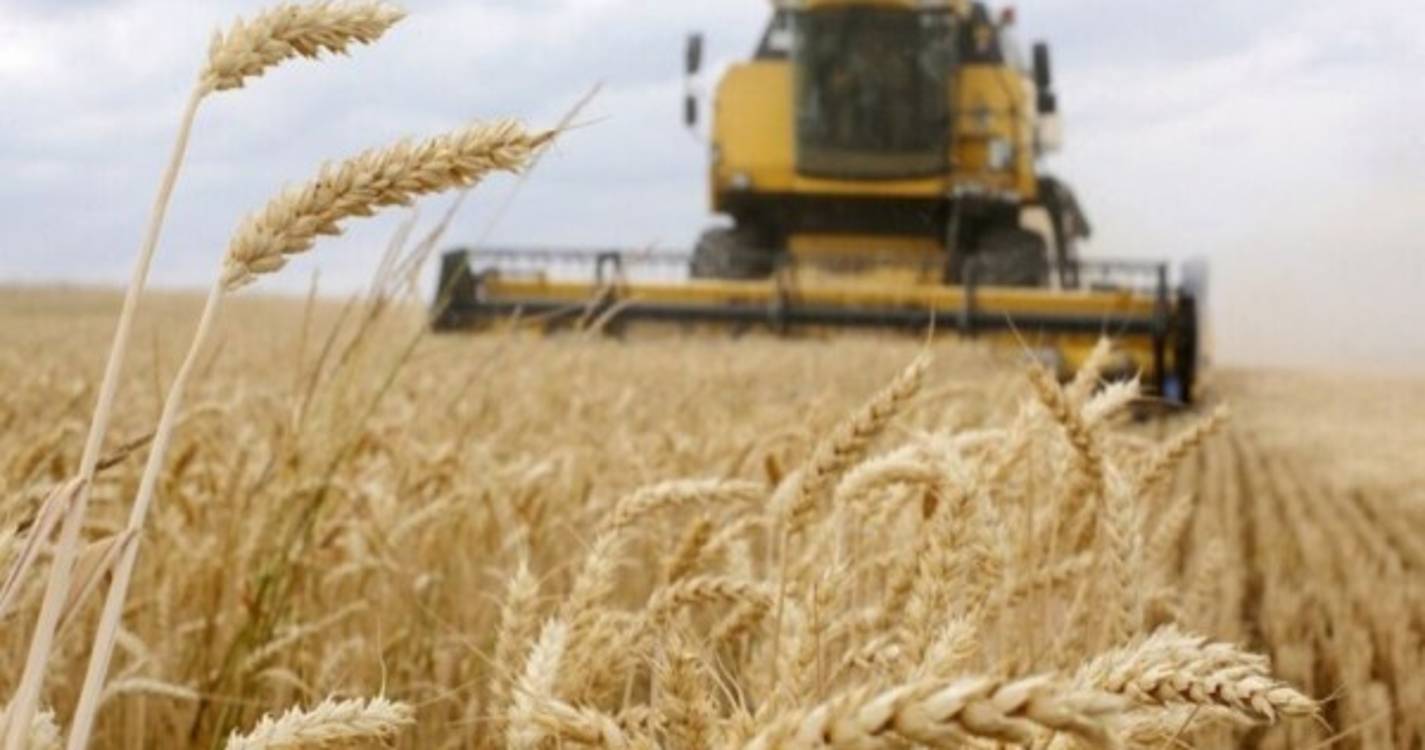Ucrânia: Pró-russos acusam ucranianos da perda de 200.000 toneladas de cereais
