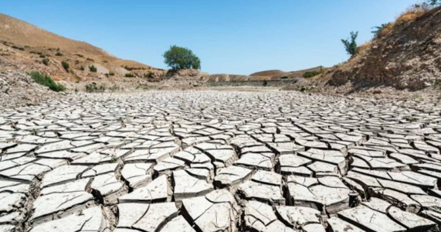 Clima: Mundo teve em 2021 o mês de julho mais quente desde 1880