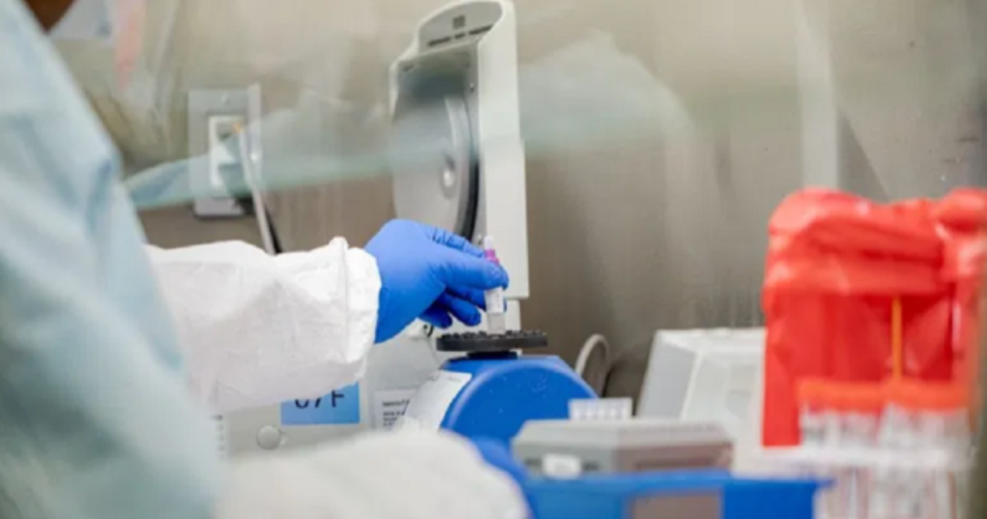 Novo fármaco poderá inibir transporte de vírus nas células