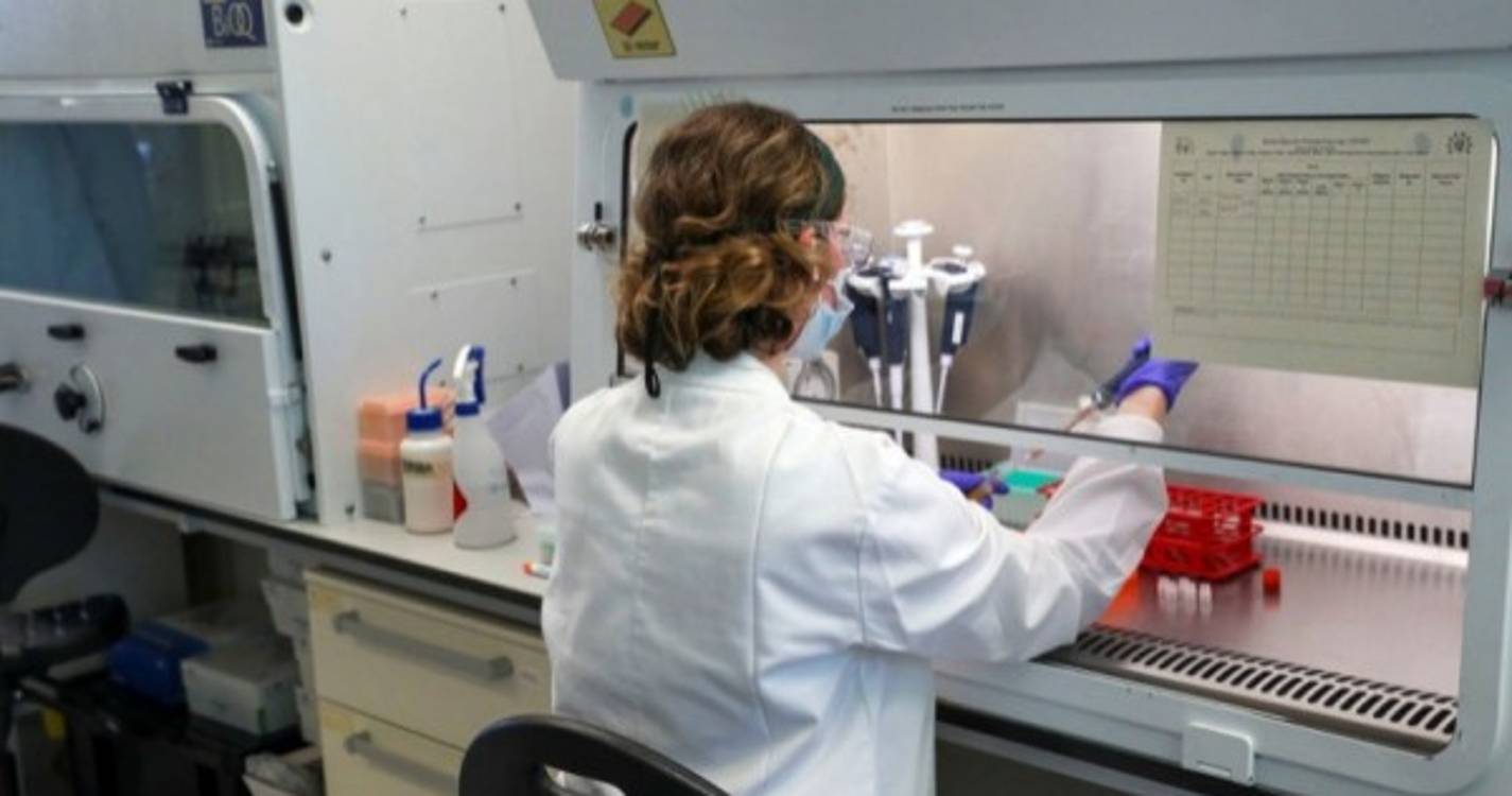 Investigadores estudam como bactérias do intestino podem influenciar personalidade