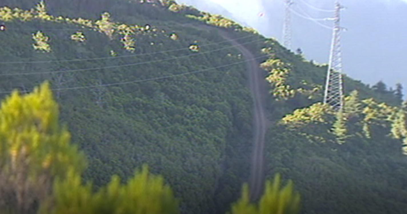 Associação aplaude suspensão da pavimentação do Caminho das Ginjas pelo tribunal