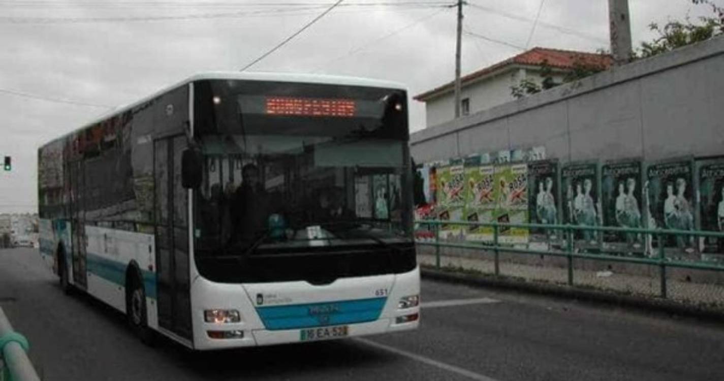 Sindicato dos Motoristas quer prioridade na vacinação