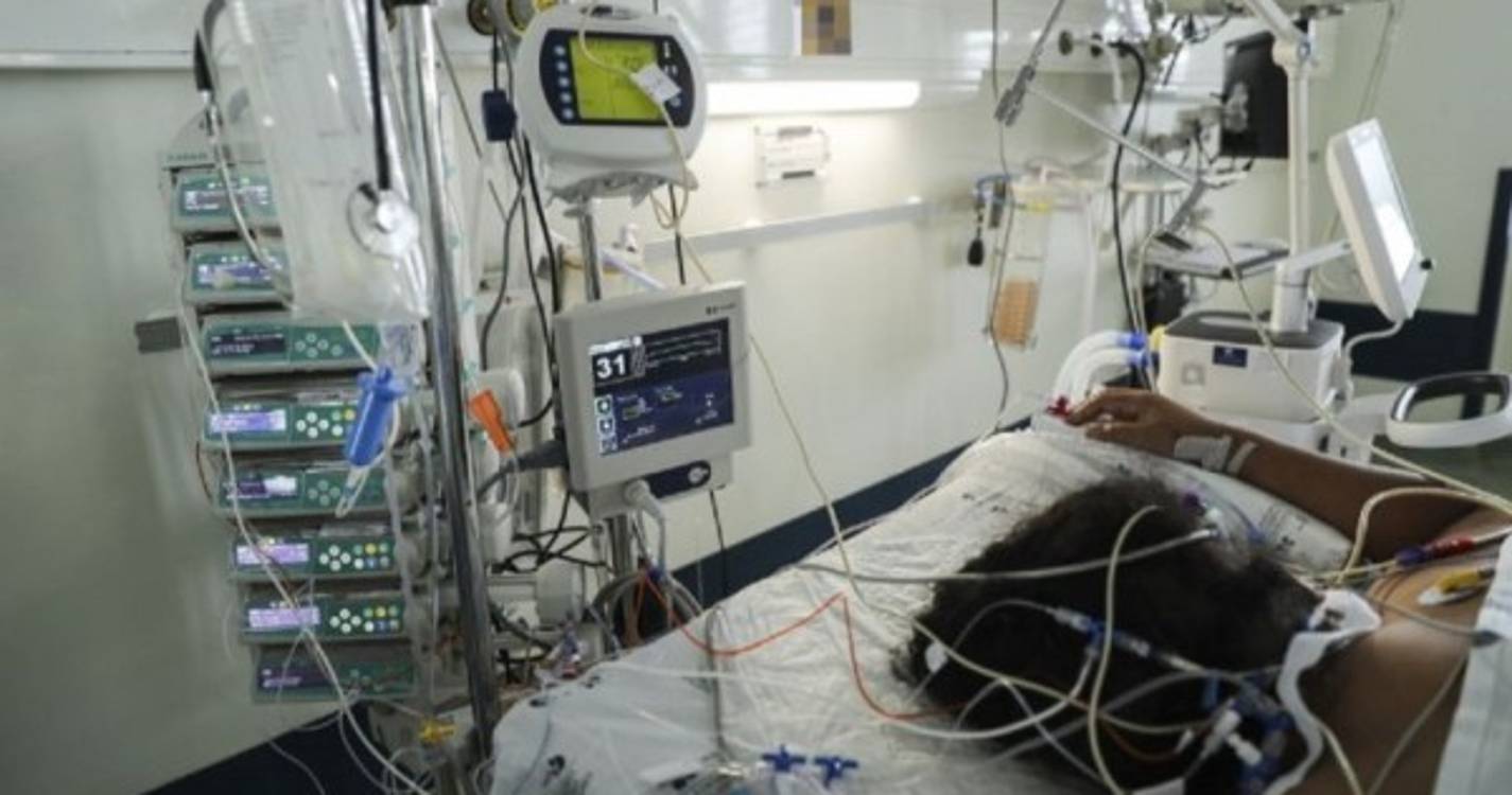 Homem nos Cuidados Intensivos após mordedura de cobra em Constância