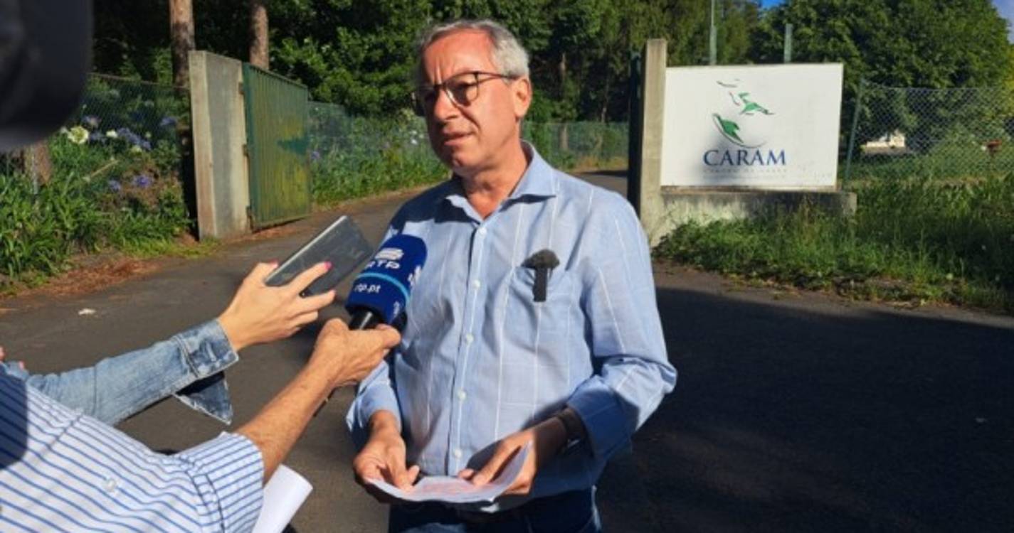 JPP denuncia desigualdades laborais no Centro de Abate da RAM