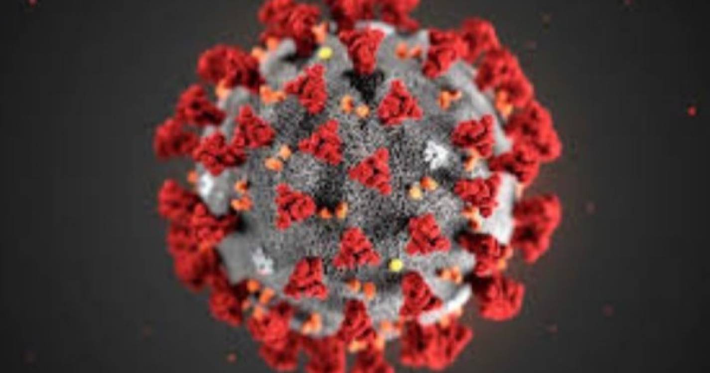 Covid-19: Pandemia está longe de acabar e novas variantes podem surgir - OMS
