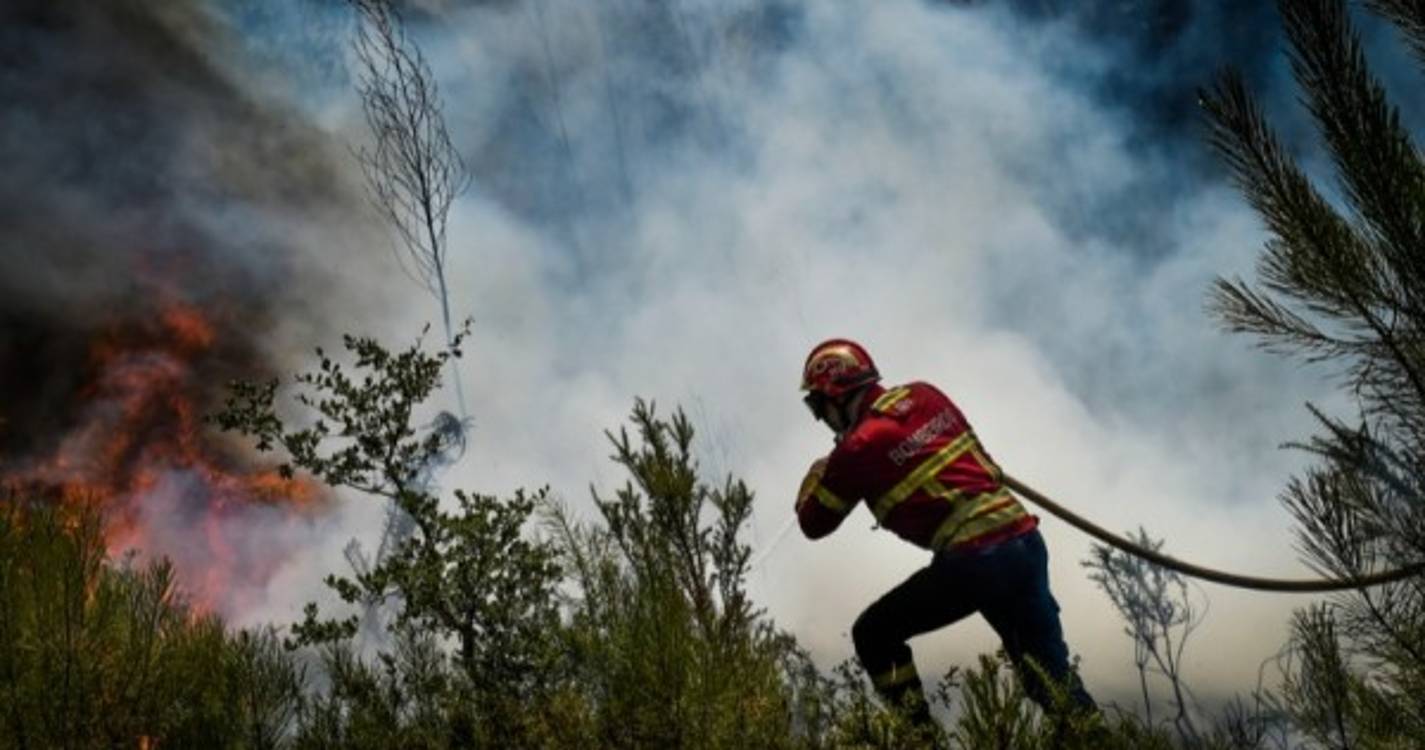 Incêndios: Governo decide no domingo se prolonga situação de contingência