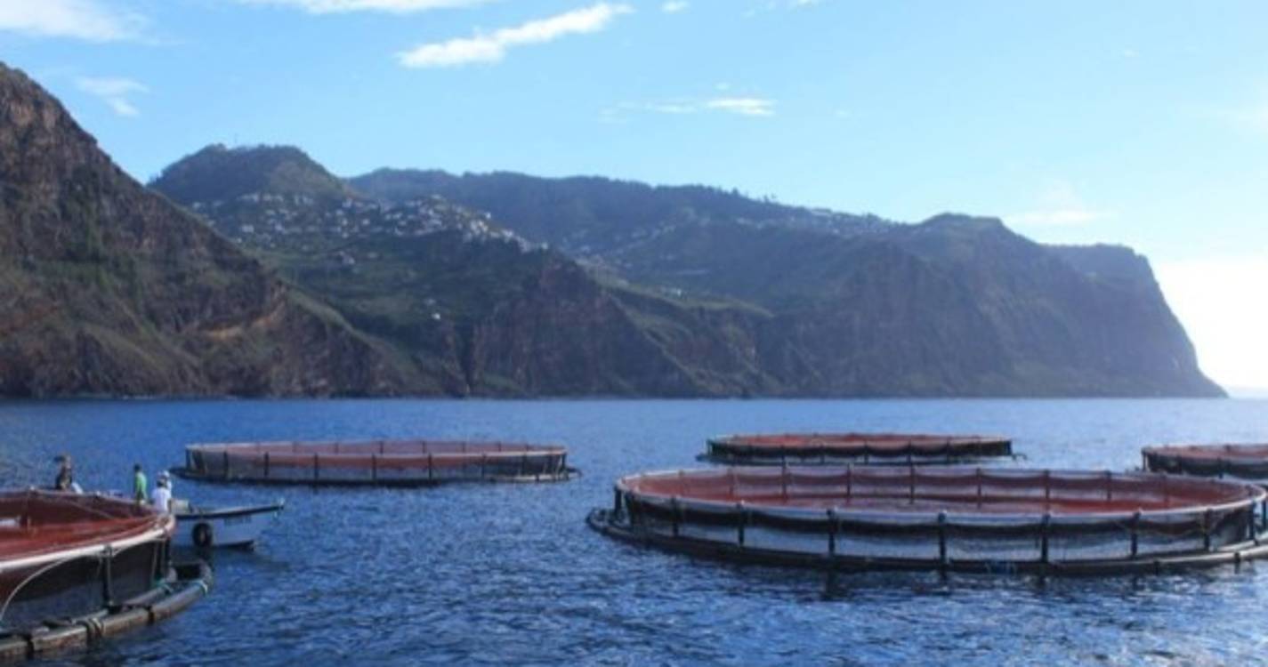 Empresários de aquacultura debatem Programa de Monitorização Ambiental (PMA)