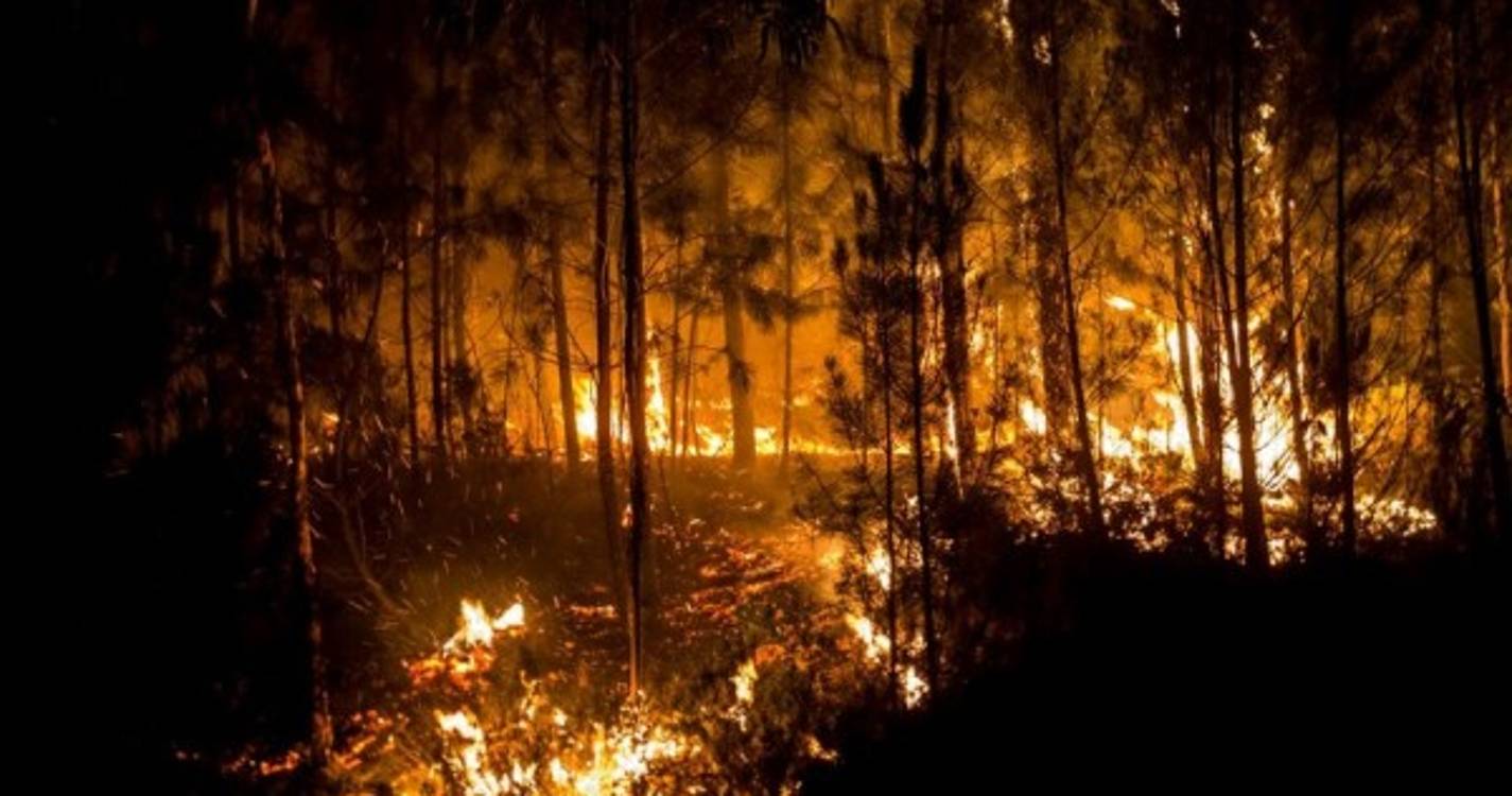 Incêndios: IL acusa Governo de ter falhado na prevenção e resposta à tragédia de Pedrógão