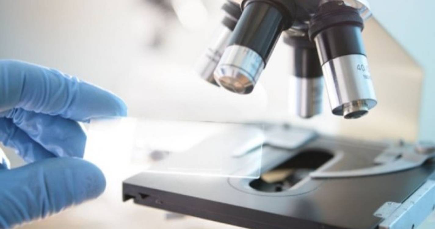 Identificados compostos que potenciam novas soluções no tratamento oncológico