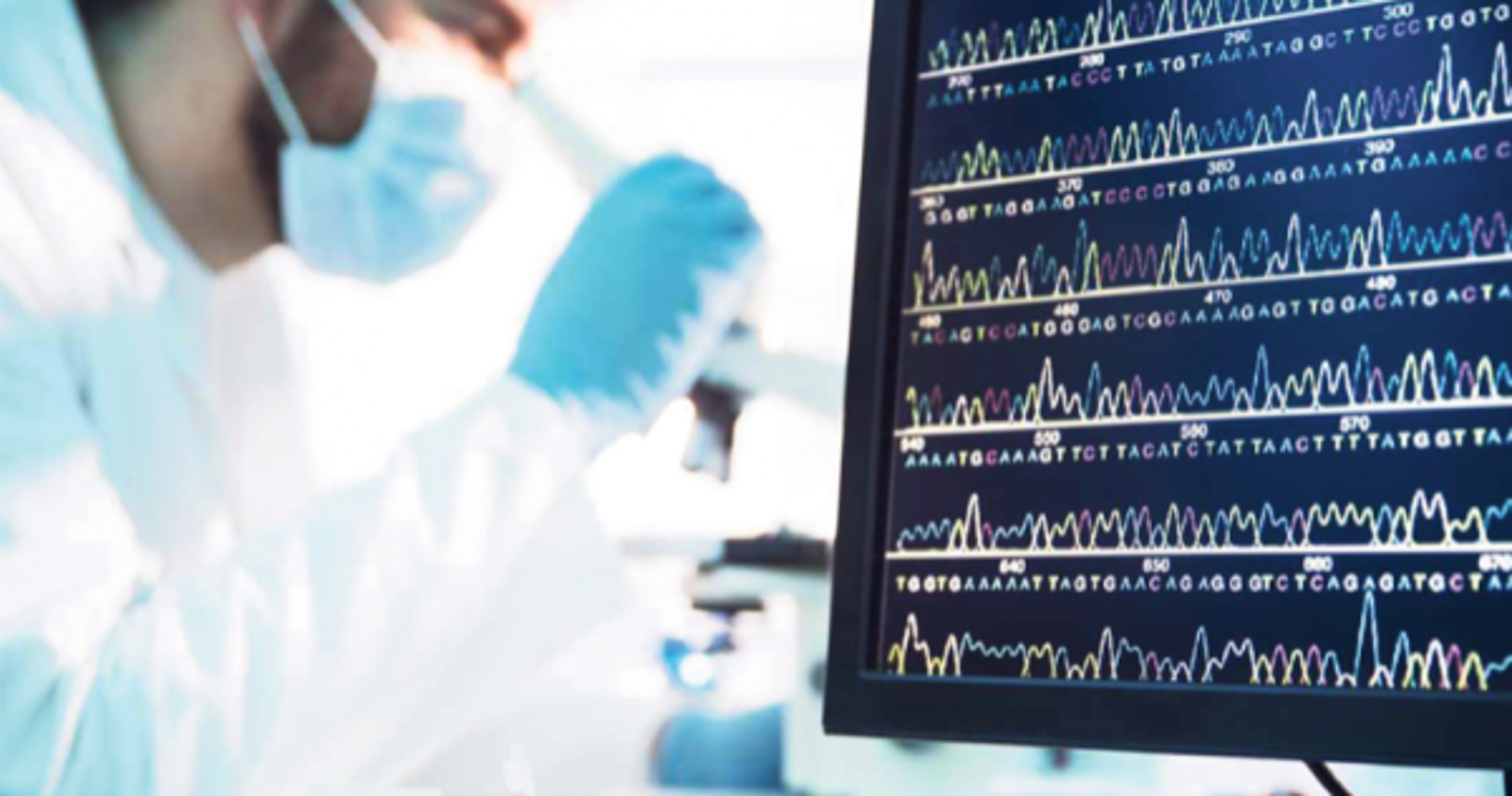 Empresas voltam a concentrar a maior fatia das despesas de Investigação e Desenvolvimento na RAM