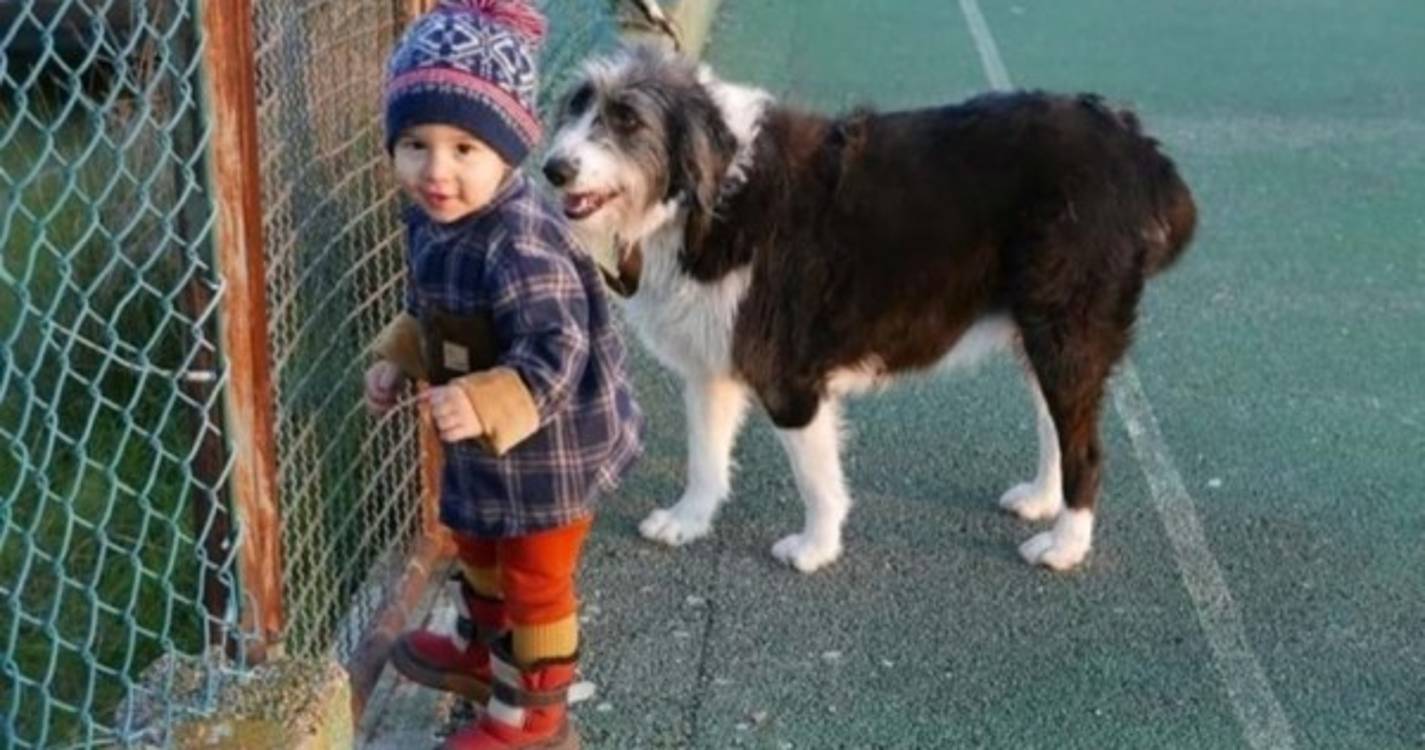 Noah ter-se-á escondido das equipas de resgate