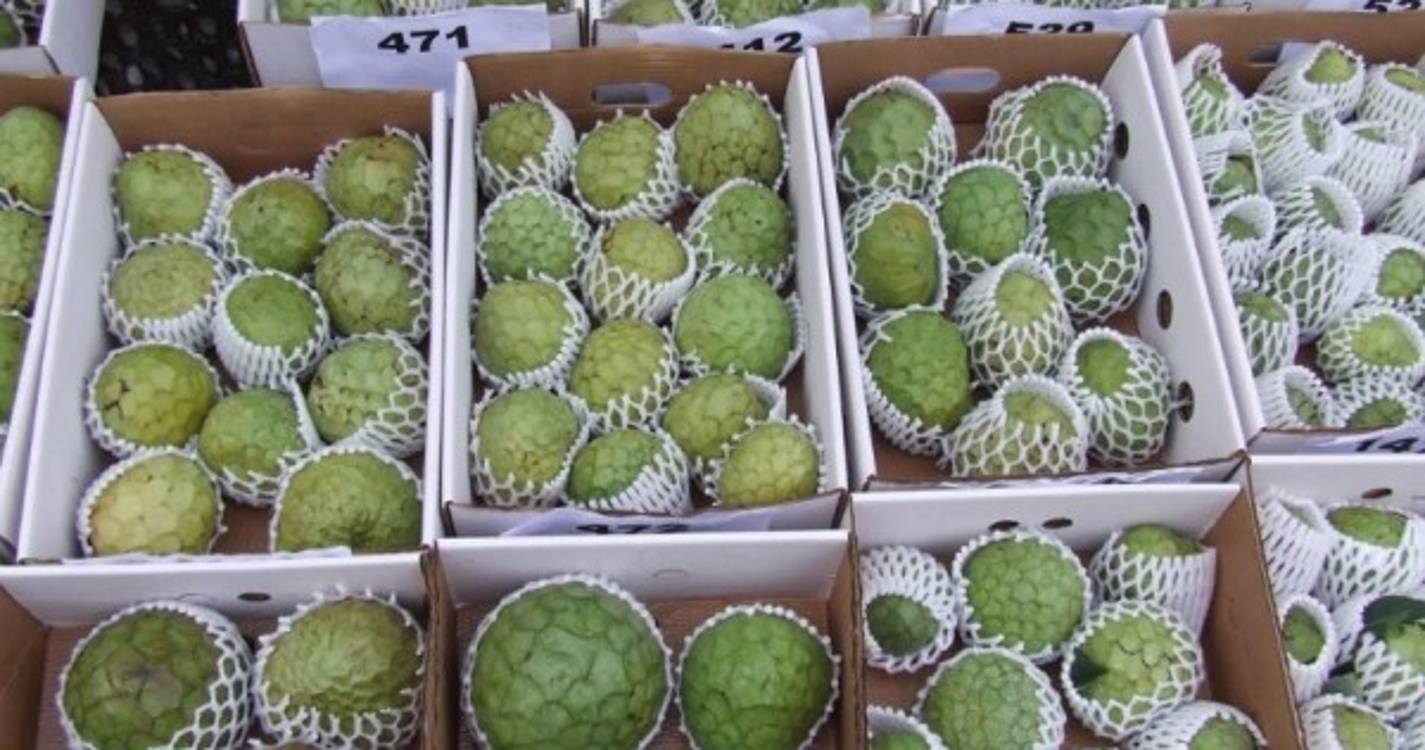 Abertas inscrições para o concurso da anona