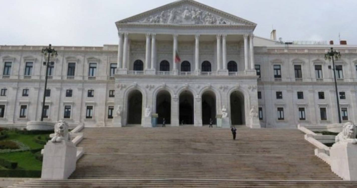 Manifestante tenta subir escadaria do parlamento e é impedido pela PSP