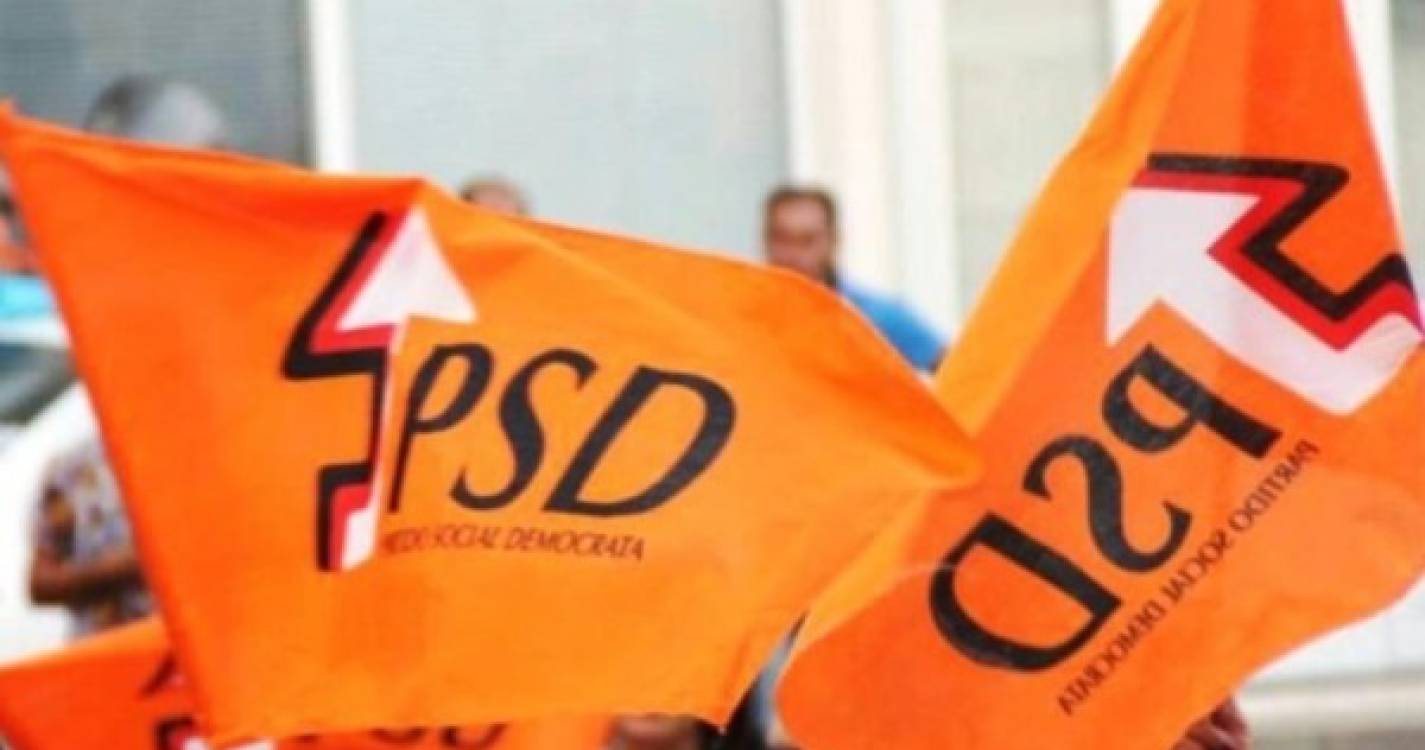 Deputados do PSD Madeira lamentam &#34;visão centralista do Tribunal Constitucional&#34;