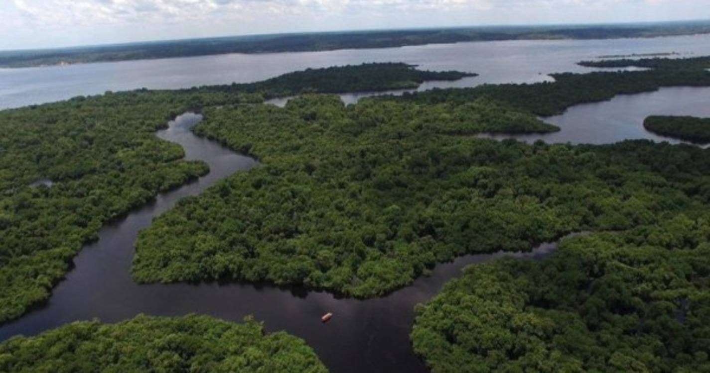 Tráfico de drogas acelera devastação ambiental e crimes na bacia Amazónica