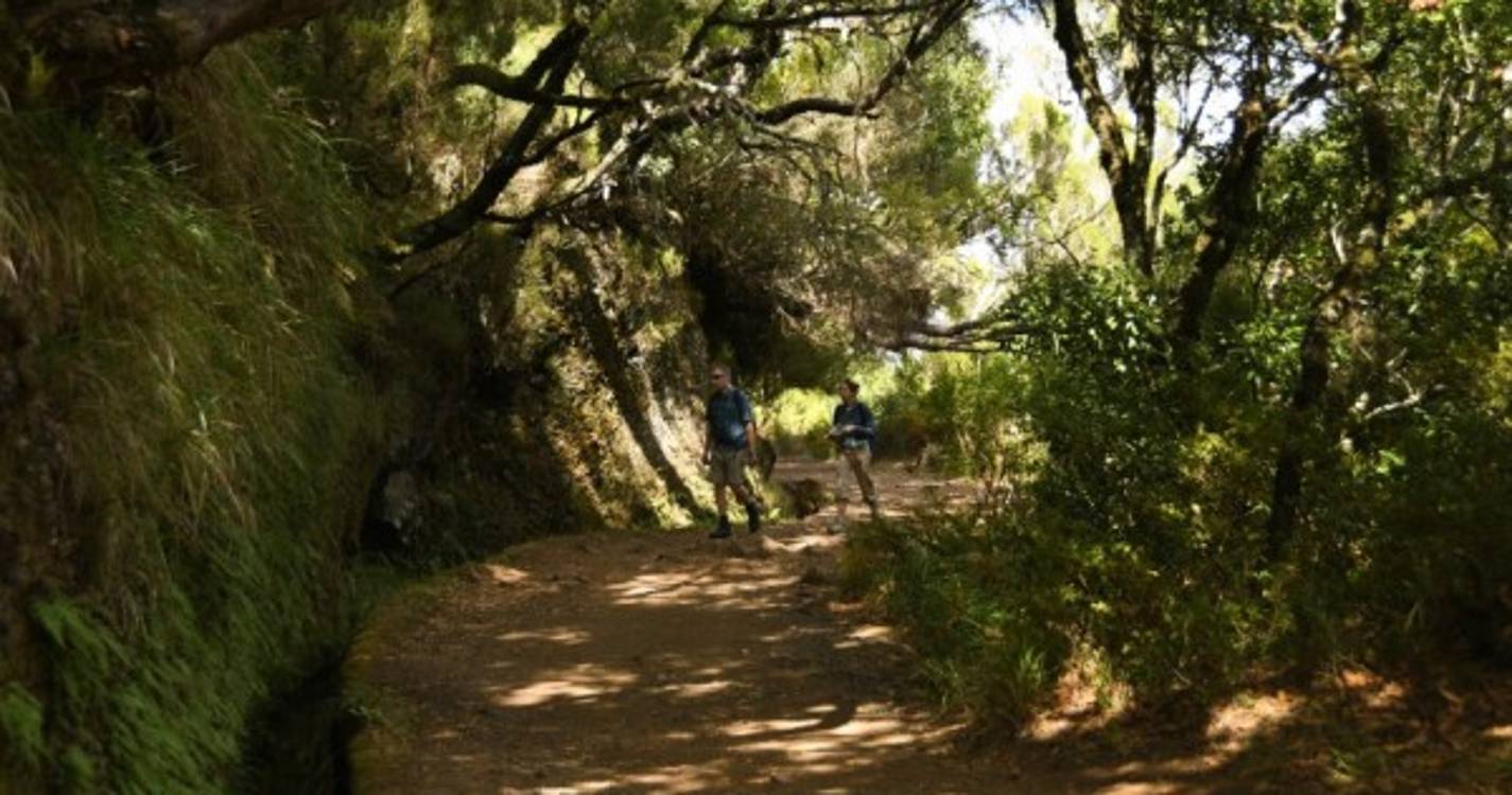 Levadas, trilhos e veredas encerrados por causa do mau tempo