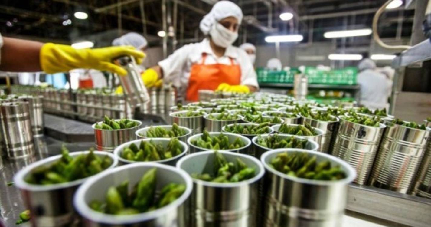 Crise/Energia: Indústria Agroalimentar pede "rápida atribuição" dos apoios