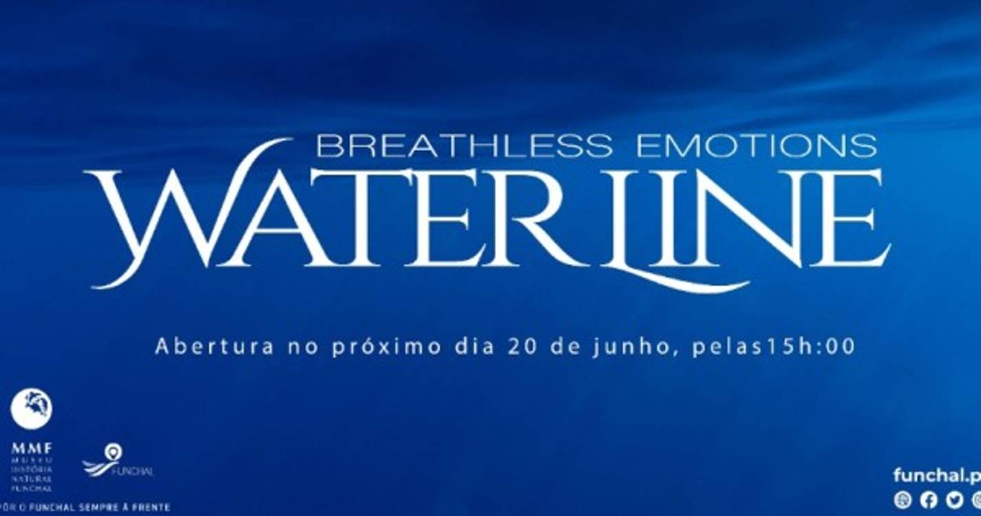 Exposição Waterline de Gonçalo Gomes abre amanhã no Museu de História Natural do Funchal