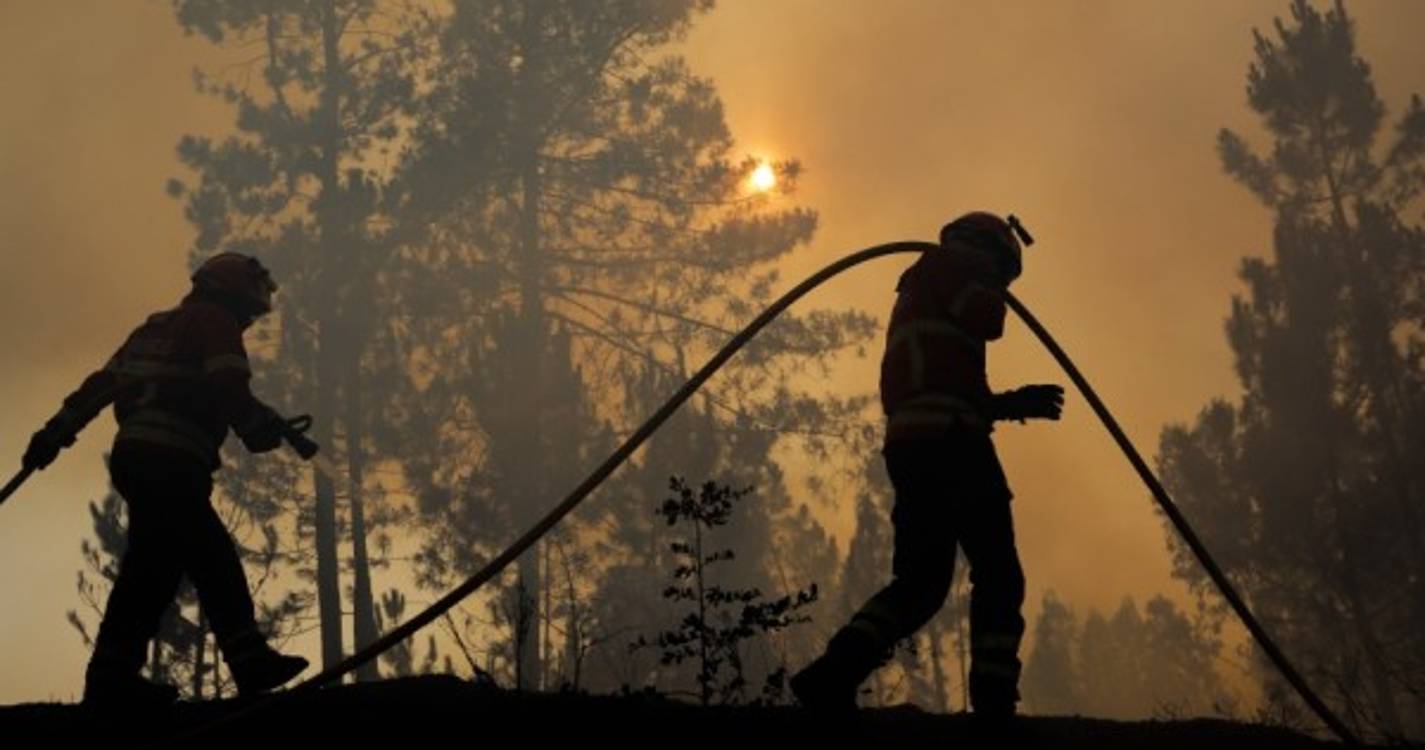 Incêndios: Mais de 80 concelhos de 10 distritos em perigo máximo