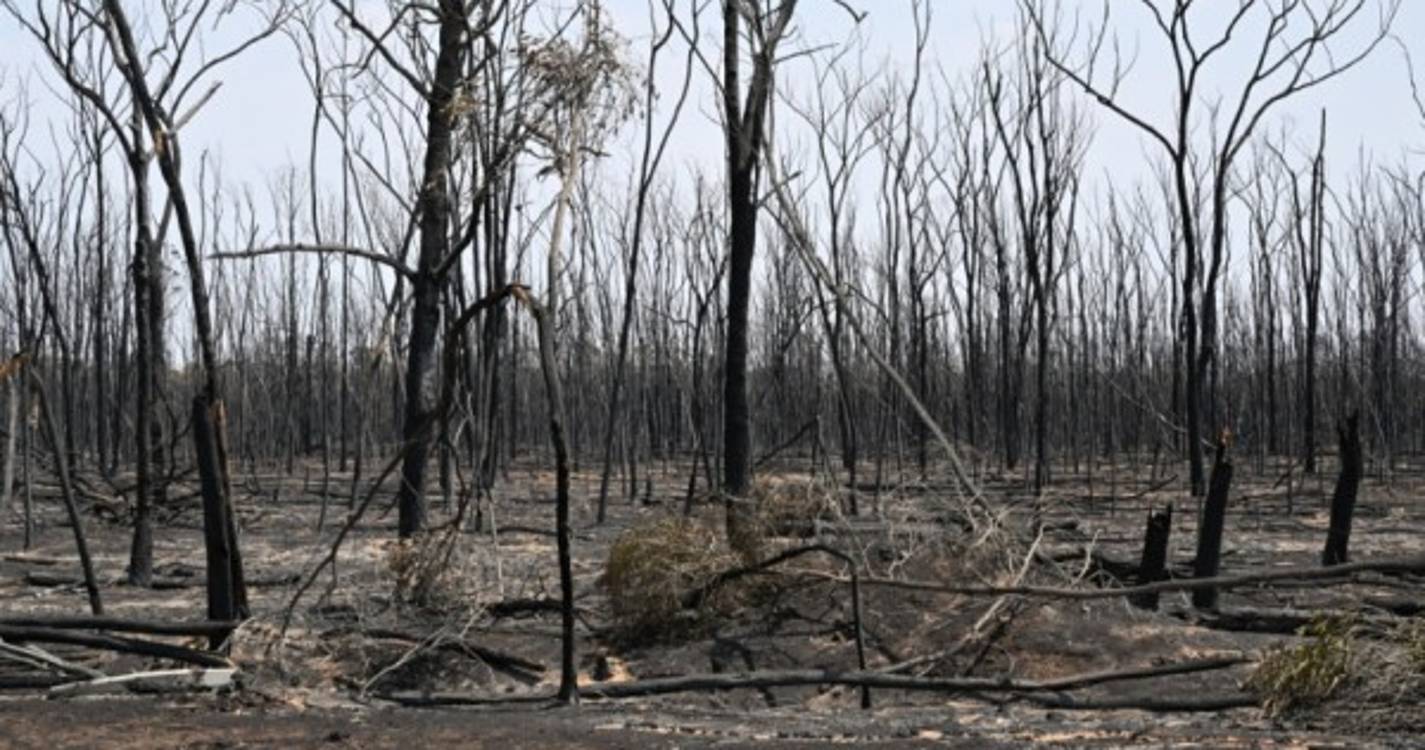Onda de incêndios atinge a costa leste da Austrália
